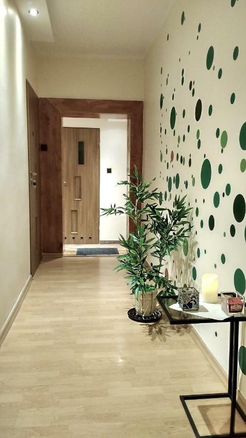 Pod Jarzebina Homestay